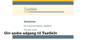 giv andre adgang til tastselv