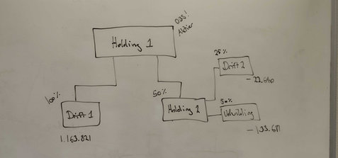 Årsrapport for holdingselskaber